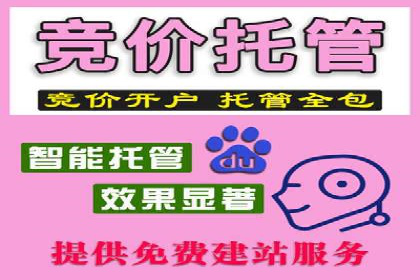 百度广告推广在旅游行业的成功案例